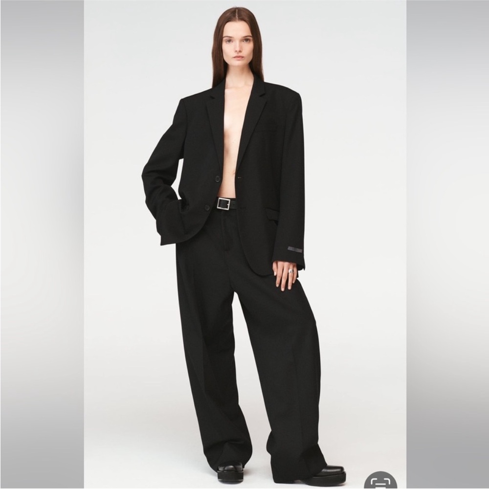 Zara Pleated Pants 100% Wool